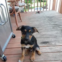 Downtown Saint Johns - Saint Johns