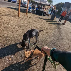 Saint Johns Farmers Market - Saint Johns