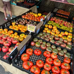 Saint Johns Farmers Market - Saint Johns