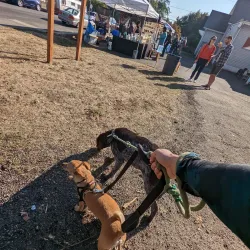 Saint Johns Farmers Market - Saint Johns