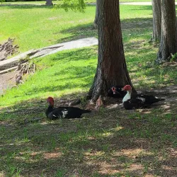 Veterans Memorial Park - Saint Johns