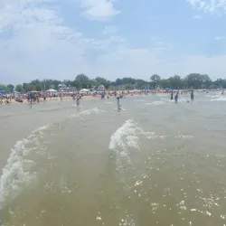 Silver Beach Center - Saint Joseph