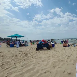 Silver Beach Center - Saint Joseph