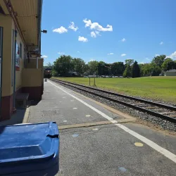 Silver Beach Pizza - Saint Joseph