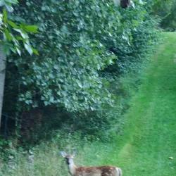 Clinton River Trail - Shelby Township
