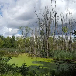 Clinton River Trail - Shelby Township