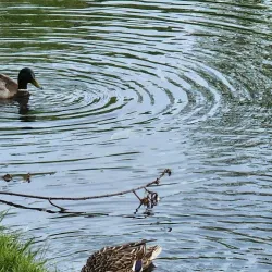 Heritage Park - Shelby Township