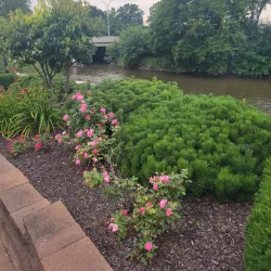 Memorial Park - Shelby Township