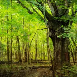 River Bends Park - Shelby Township