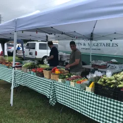 Shelby Township Farmers Market - Shelby Township