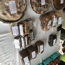 Shelby Township Farmers Market - Shelby Township