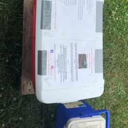 Shelby Township Farmers Market - Shelby Township