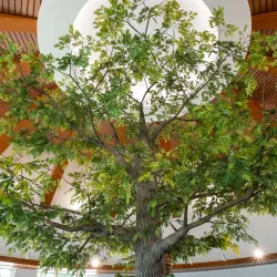 Shelby Township Library - Shelby Township