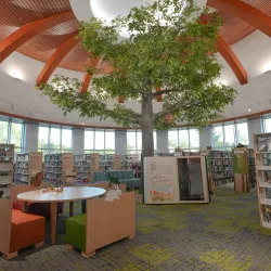 Shelby Township Library - Shelby Township
