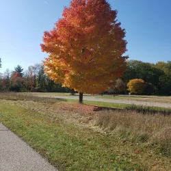 Stony Creek Metropark - Shelby Township