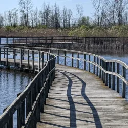 Crosswinds Marsh Preserve - Southfield