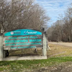 Crosswinds Marsh Preserve - Southfield