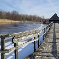 Crosswinds Marsh Preserve - Southfield
