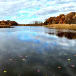 Crosswinds Marsh Preserve - Southfield