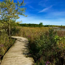 Crosswinds Marsh Preserve - Southfield