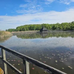 Crosswinds Marsh Preserve - Southfield