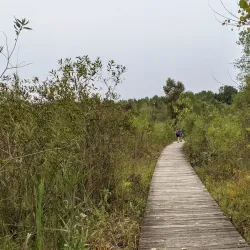 Crosswinds Marsh Preserve - Southfield