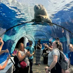 Detroit Zoo - Southfield