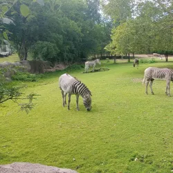 Detroit Zoo - Southfield