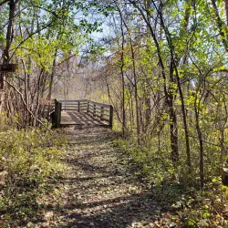 Heritage Park - Southfield
