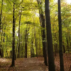 Heritage Park - Southfield