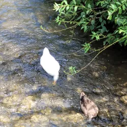 Lathrup Village Park - Southfield