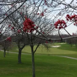 Southfield Municipal Golf Course - Southfield