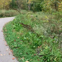 Sterling Heights Farmers Market - Sterling Heights