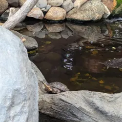 Sterling Heights Nature Center - Sterling Heights