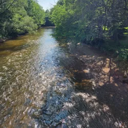 Sterling Heights Nature Center - Sterling Heights