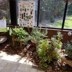 Sterling Heights Nature Center - Sterling Heights