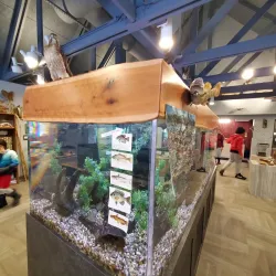 Sterling Heights Nature Center - Sterling Heights