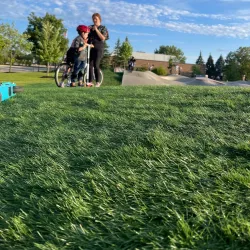 Sterling Heights Skate Park - Sterling Heights