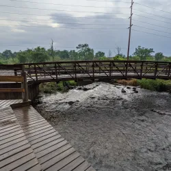 Portage Creek Bicentennial Park - Three Rivers