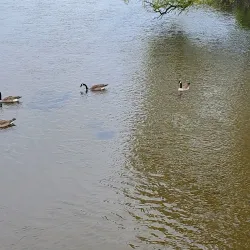 Boardman Lake Trail - Traverse City