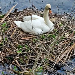 Boardman Lake Trail - Traverse City