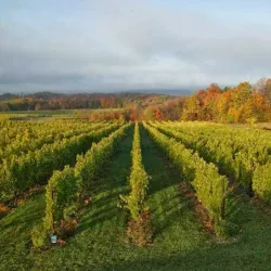 Chateau Grand Traverse Winery - Traverse City