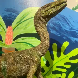 Dennos Museum Center - Traverse City