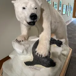 Dennos Museum Center - Traverse City