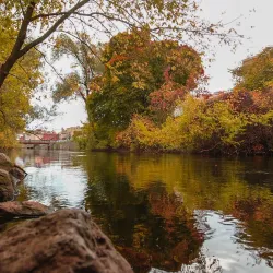 Downtown Traverse City - Traverse City