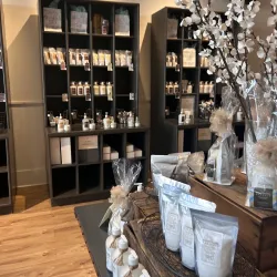 Downtown Traverse City - Traverse City