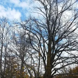 Sleeping Bear Dunes National Lakeshore - Traverse City