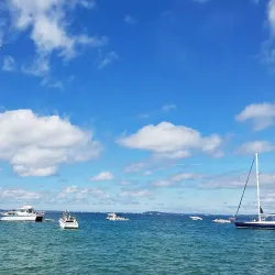 The National Cherry Festival - Traverse City