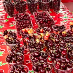 The National Cherry Festival - Traverse City
