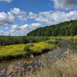 Traverse City State Park - Traverse City
